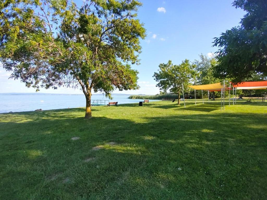 Sir David Balaton Castle Apartmanok Balatonszepezd Exterior foto